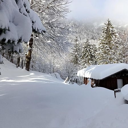 Ferienhaus Baerschwendi Лунгерн Экстерьер фото